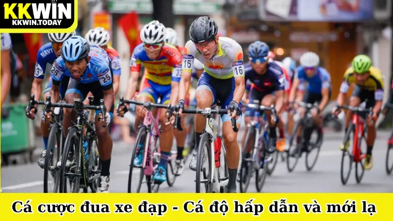 Cá cược đua xe đạp
