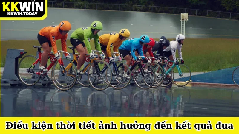 Điều kiện thời tiết ảnh hưởng đến kết quả đua