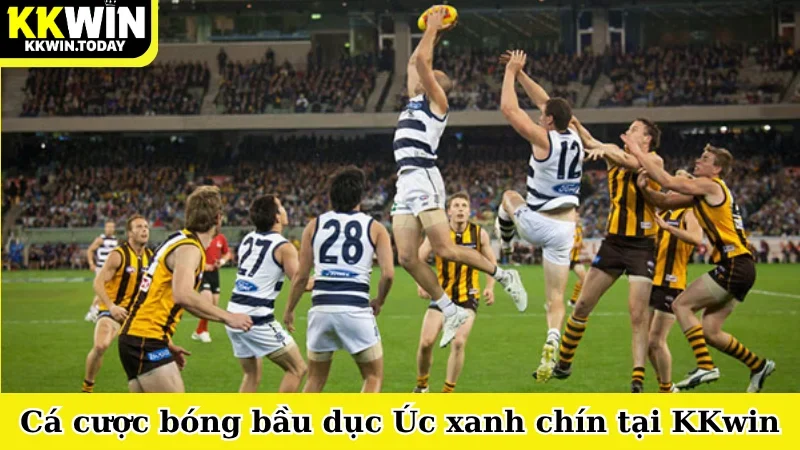 Cá cược bóng bầu dục Úc