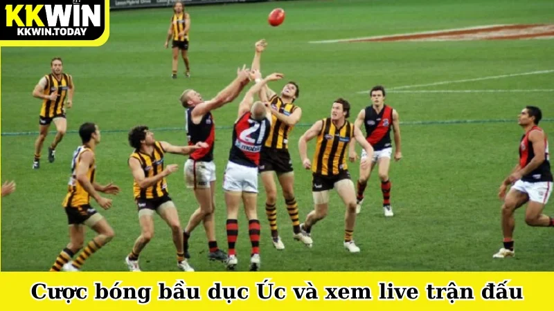 Cược bóng bầu dục Úc và xem live trận đấu