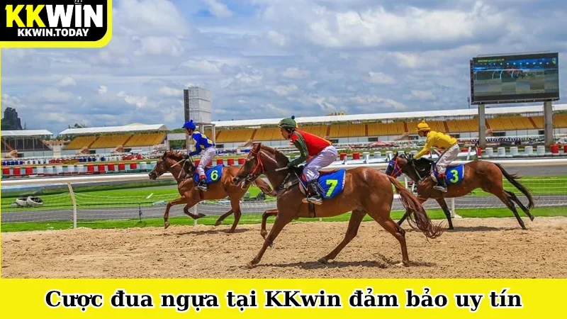 Cược đua ngựa tại KKwin đảm bảo uy tín