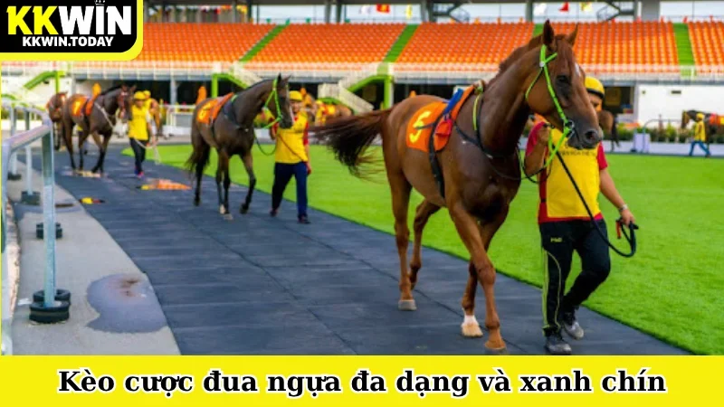 Kèo cược đua ngựa đa dạng và xanh chín