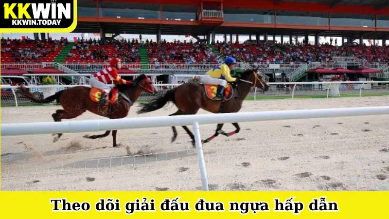 Theo dõi giải đấu đua ngựa hấp dẫn