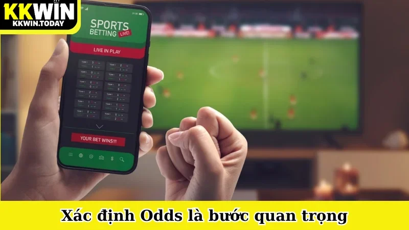 Xác định Odds là bước quan trọng